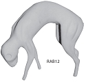 RAB12